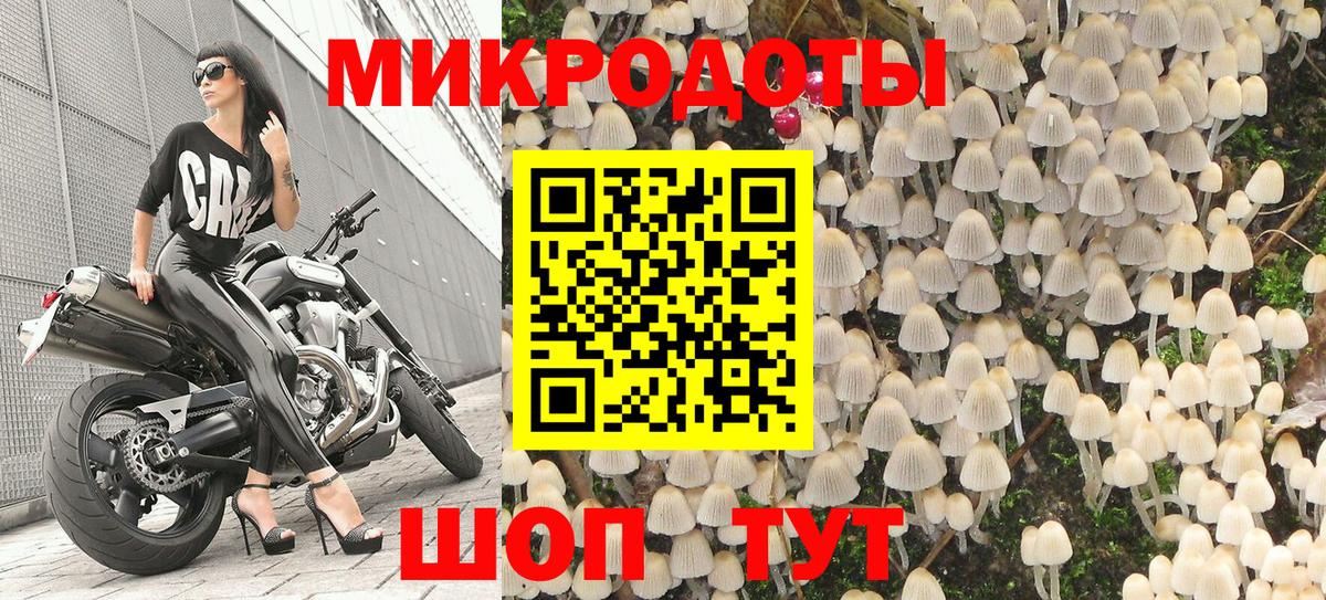 Псилоцибиновые грибы GOLDEN TEACHER  Вход с VPN  Медногорск  Псилоцибиновые грибы Psilocybine cubensis 
